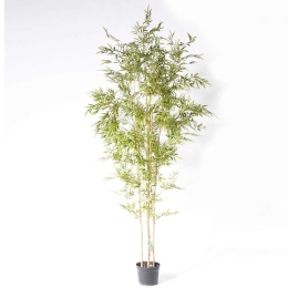 Τεχνητό Δέντρο Μπαμπού Lucky 9090-6 250cm Green Supergreens Πολυαιθυλένιο