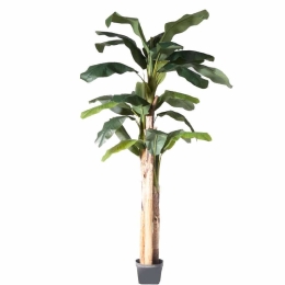 Τεχνητό Δέντρο Μπανανιά 1190-6 250cm Green Supergreens Πολυαιθυλένιο