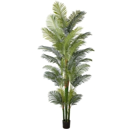 Τεχνητό Δέντρο Αρέκα Hawaii 8080-6 110x300cm Green Supergreens Πολυαιθυλένιο