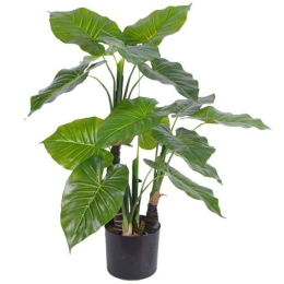 Τεχνητό Φυτό Αλοκάσια Elephant Ears 7760-6 55x80cm Green Supergreens Πολυαιθυλένιο