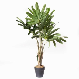 Τεχνητό Φυτό Ράπις 5870-6 80cm Green Supergreens Πολυαιθυλένιο