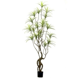 Τεχνητό Δέντρο Δράκαινα Sanderiana 0870-6 250cm Green Supergreens Πολυαιθυλένιο,Ύφασμα