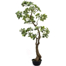 Τεχνητό Δέντρο Φίκος Ginseng 3770-6 150cm Green Supergreens Πολυαιθυλένιο,Ύφασμα