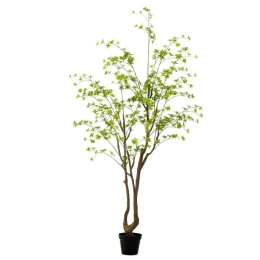 Τεχνητό Δέντρο Φίκος Pumila 6770-6 240cm Green Supergreens Πολυαιθυλένιο,Ύφασμα