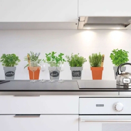 Αυτοκόλλητα Τοίχου Βινυλίου Spices 58111 100x45cm Green Ango Βινύλιο