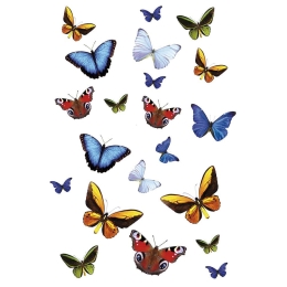 Διακοσμητικά Αυτοκόλλητα Butterfly 1907 15x23,5cm Multicolor Kleine Wolke Πλαστικό