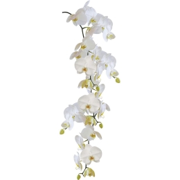Διακοσμητικά Αυτοκόλλητα Orchid 1903 23x68cm White Kleine Wolke Πλαστικό