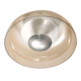Φωτιστικό Οροφής - Πλαφονιέρα Led Vintage 3463-61-125 Nickel Fabas Luce Μέταλλο,Γυαλί