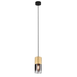 Φωτιστικό Οροφής Robin 310600154 1xE27 28W Φ10cm 150cm Smoke-Brass Trio Lighting Μέταλλο,Γυαλί