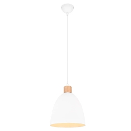 Φωτιστικό Οροφής Jagger R30681031 1xE27 40W Φ25cm 150cm White Mat RL Lighting Μέταλλο