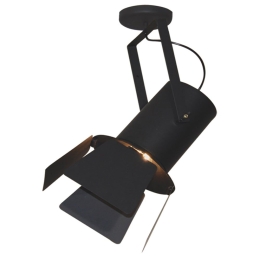 Φωτιστικό Οροφής Spot HL-3600-1L-C 77-4284 Arlen Black  Homelighting Μέταλλο