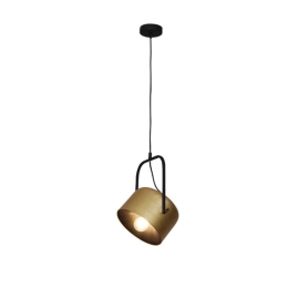 Φωτιστικό Οροφής Κρεμαστό Archie HL-3599-1S-C 21x120cm E27 60W Gold Homelighting Μέταλλο
