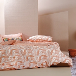 Σεντόνια Badida 06 (Σετ 4τμχ) Peach-Ecru Kentia King Size 270x270cm 100% Βαμβακερό Περκάλι