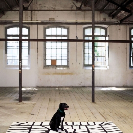Χαλί Black On White Limbo Xano Armenter 255X250cm