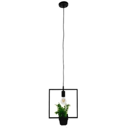 Φωτιστικό Οροφής Flowerpot 10001211 1xΕ27 Με Διακοσμητικό Φυτό 30x30cm Black GloboStar