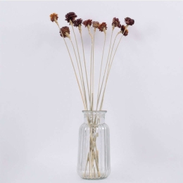 Μπουκέτο Αποξηραμένων Κλαδιών Strawflower 36530 60cm (Ακαθόριστος Αριθμός Τμχ) Beige-Red Globostar