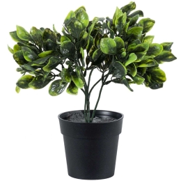 Τεχνητό Φυτό Anubia Barteri 20390 30cm Green Globostar Πολυαιθυλένιο