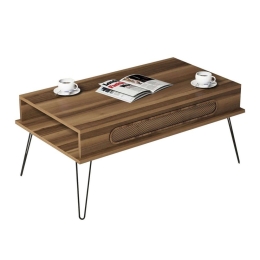 Τραπέζι Σαλονιού HM9500.02 105x56x45,8cm Μεταλλικά Πόδια Walnut Μελαμίνη