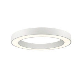 Φωτιστικό Οροφής - Πλαφονιέρα Led Apollo 4214100 White Viokef Μέταλλο