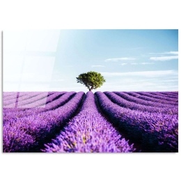 Πίνακας Γυάλινος 123BZM1169 100x70cm Multi Wallity Οριζόντιοι Γυαλί