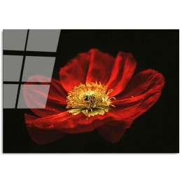 Πίνακας Γυάλινος 123BZM1267 100x70cm Multi Wallity Οριζόντιοι Γυαλί