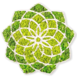 Διακοσμητικό Τοίχου Daisy 931NTR1105 44x1,6x44cm White-Green Wallity Mdf
