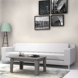 Τραπεζάκι Σαλονιού Growth 0123217 90x45x45cm Grey