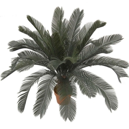 Τεχνητό Φυτό Σε Γλάστρα Κύκας 04-00-95012 110cm Green Marhome Συνθετικό Υλικό