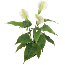 Τεχνητό Φυτό Σε Γλάστρα Ανθούριο 04-00-18752 43cm Green-Ecru Marhome Συνθετικό Υλικό