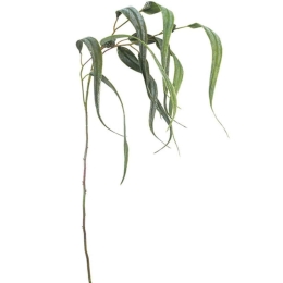 Τεχνητό Κλαδί Ευκάλυπτος 00-00-21001 30x82cm Green Marhome Συνθετικό Υλικό