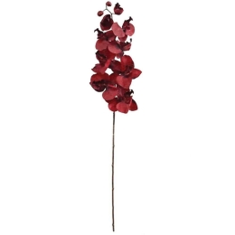 Λουλούδι - Κλαδί Ορχιδέα 99-00-17912 107cm Red Marhome