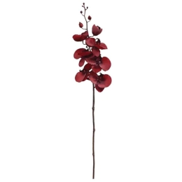 Λουλούδι - Κλαδί Ορχιδέα 99-00-17915 85cm Red Marhome