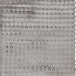 Χαλί Aspen 485 Silver Obsession 200X290cm