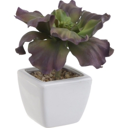 Διακοσμητικό Φυτό Σε Γλάστρα 3-85-084-0043 Green-Purple 7Χ7Χ16 Inart Πλαστικό