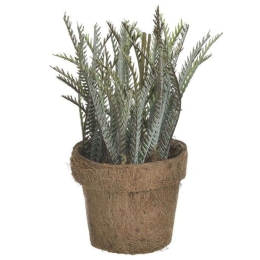 Διακοσμητικό Φυτό Σε Γλάστρα 3-85-483-0014 Φ8cm Green Inart Πλαστικό