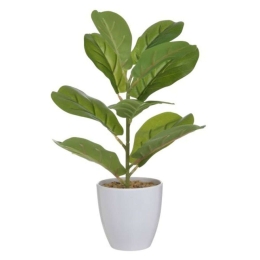 Διακοσμητικό Φυτό Σε Γλάστρα 3-85-475-0268 Φ10x33cm Green-White Inart Πλαστικό