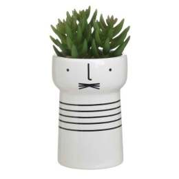 Διακοσμητικό Φυτό Σε Γλάστρα 3-85-475-0264 Φ8x17cm Green-White Inart Πλαστικό