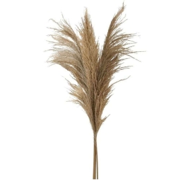 Διακοσμητικό Κλαδί-Φυτό (Σετ 3Τμχ) 3-85-909-0029 150cm Natural Inart