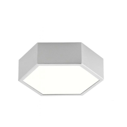 Φωτιστικό Οροφής - Πλαφονιέρα 01298-20 LED 10W 3000K 920Lm 25x7cm Silver Luma