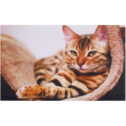 Πατάκι Εισόδου Gallery 005 Cat 45X75cm Beige Sdim 45X75