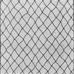 Χαλί Weave 4201-WHT White Ezzo 160X230cm