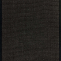 Χαλί Sisal Black-Black Asiatic London 200X300cm