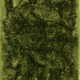 Χαλί Plush Green Asiatic London 200X300cm