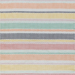 Χαλί Boardwalk Pastel Multi Asiatic London 120X170cm
