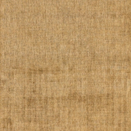 Χαλί Aston Ochre Asiatic London 200X290cm