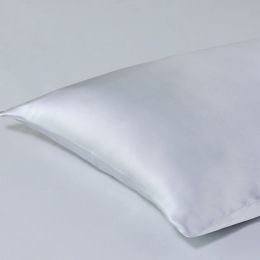 Μαξιλαροθήκη Silk Z22A Silver Kentia 50X75 Μετάξι