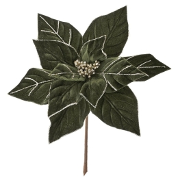 Λουλούδι - Κλαδί Αλεξανδρινό  79221 25x30cm Green