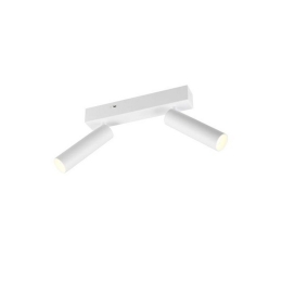 Φωτιστικό Οροφής - Σποτ Ambala 849210231 26x13x17cm 2xSMD 5,5W 500lm White Trio Lighting
