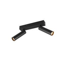 Φωτιστικό Οροφής - Σποτ Ambala 849210232 26x13x17cm 2xSMD 5,5W 500lm Black Trio Lighting