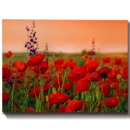 Πίνακας Καμβάς 529TCR1101 70x50cm Multi Wallity Οριζόντιοι Ξύλο, Καμβάς
